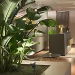 Hotel Romana Residencia 4*