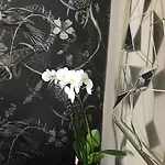 Lippi 42 With Private Garden ベッド・アンド・ブレックファスト *