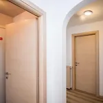 Shortmi Buenos Aires Milano