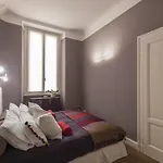 Zebra Rosso * Милан