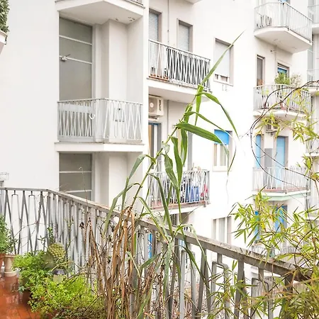 Hacca Collection - Porta Romana *