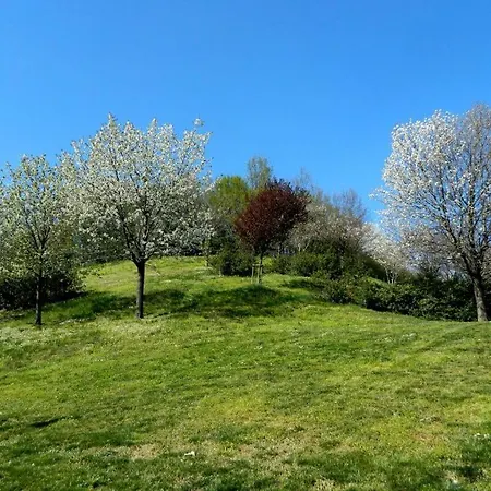Casa Grace La Collina Dei Ciliegi Milaan