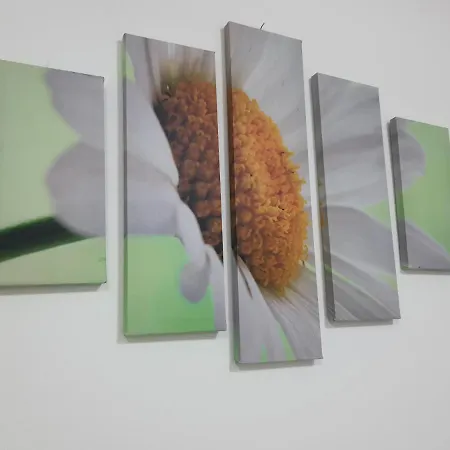 Apartment Corridoni Dream House *