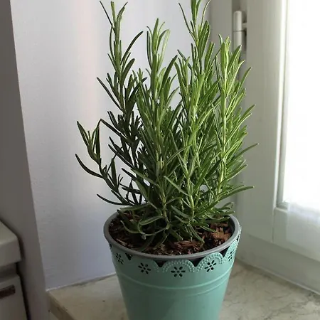 דירה Squisito In Stabile Vecchia מילאנו