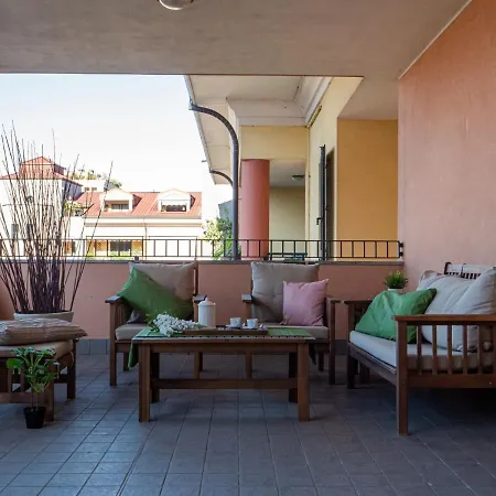 Bright One-bedroom With Terrace In Appartement