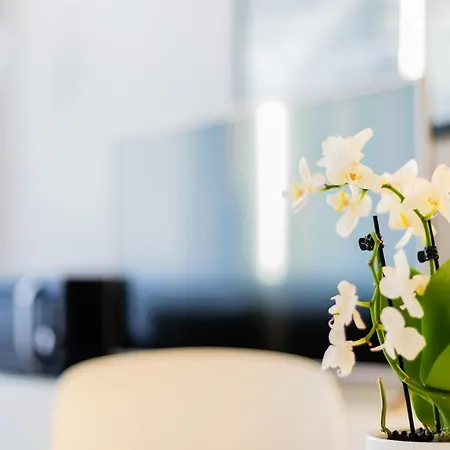 Retreats Cadorna Duomo * Milano