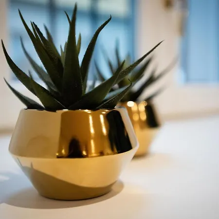 Apartmán Easylife - - Borgonuovo 4d - Centro Storico