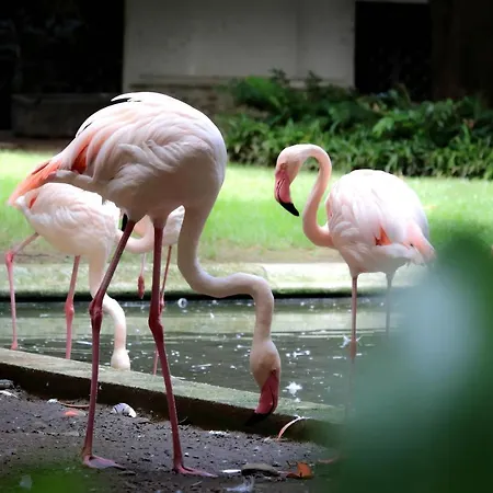 Vico Fashion District Pensionat Milano