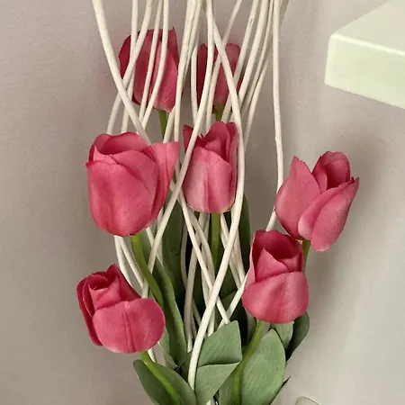 דירה Squisito In Stabile Vecchia