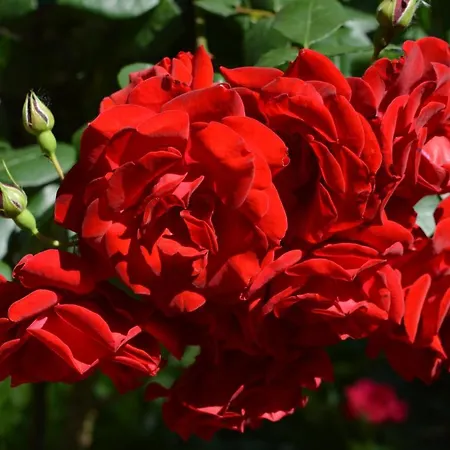 Design District- Navigli Mini Via Tortona 66 Apartman