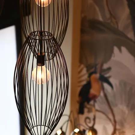 Experience - Jungle * Milaan