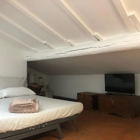 Il Tetto Fiorito Dell'isola *