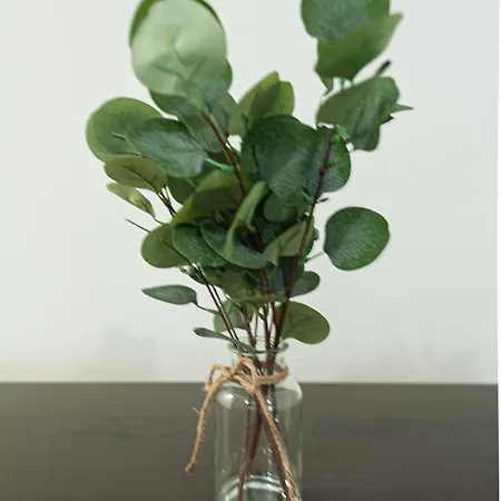 Bnbutler - Pergolesi, 6 - Accogliente E Moderno A Due Passi Da Tutto アパート ミラノ