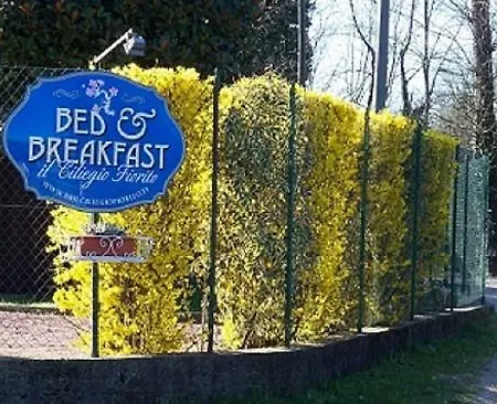 B&B Il Ciliegio Fiorito 2*