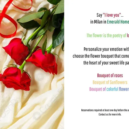 Апартаменты Emerald 