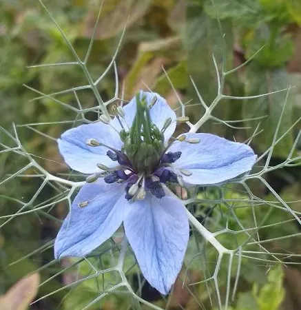 With Terrace And Loft With Garden In Naviglio Pavese * Milan