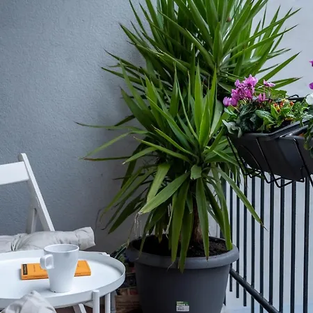 1,2 Porta Centro Parking Free Daire