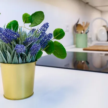 Primopiano - Pistrucci