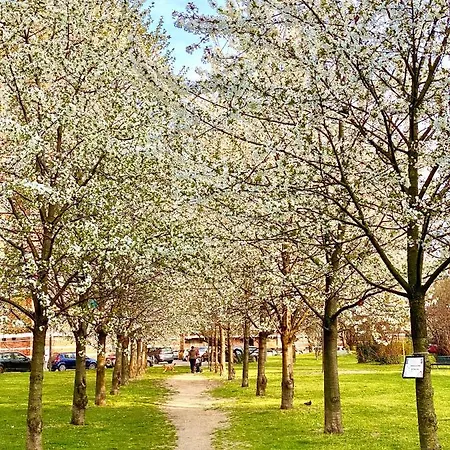 Cosy And Lovely Flat With View On Nature