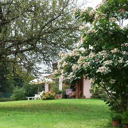 B&B Il Ciliegio Fiorito 2*