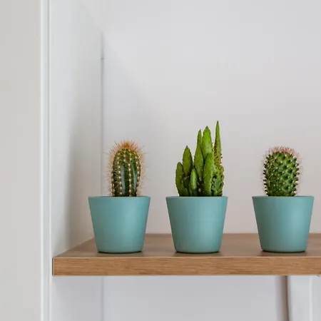 Nyaraló Khl - Sansiro, *