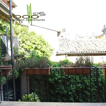 Bamboo Brera *