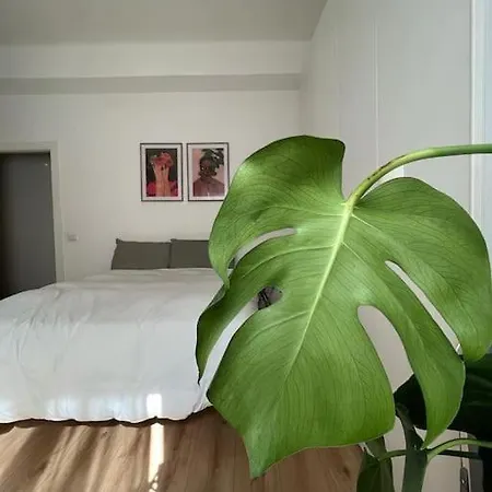 In-experience City Appartement *