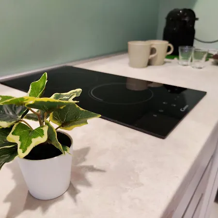 The Green Apt - Stylish And Confortable Large Studio Close To Metro * Milano