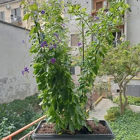 Il Grande Blu Апартаменты