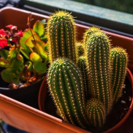 Sunny & Updated Flat With Panoramic View 50m From M4 Stop *