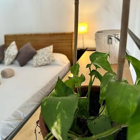 La Casa Sull'albero Nel Cuore Di * Mailand