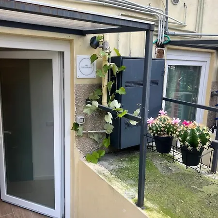 The Basement Semesterbostad