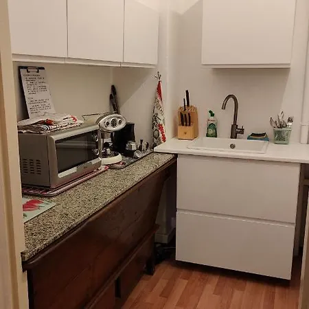 Treehouse 게스트하우스 4*