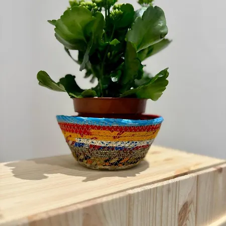 Rainbow Flat- Monolocale Luminoso Daire