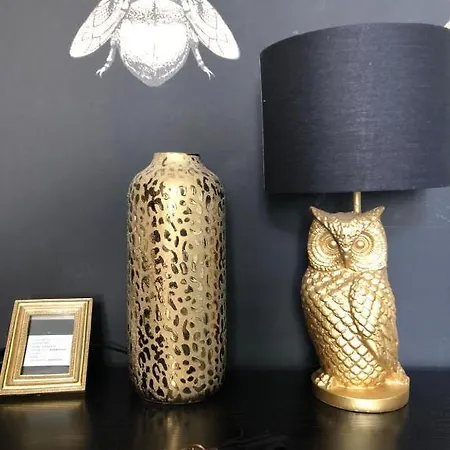 Lippi 42 Single Room's In With Garden 호텔 *