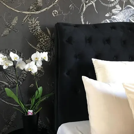 Lippi 42 Single Room's In With Garden