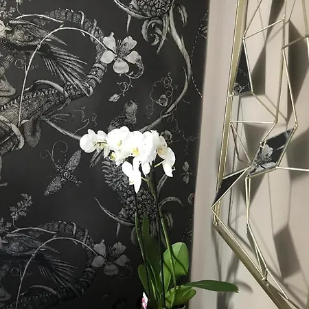 Lippi 42 Single Room's In With Garden * 밀라노