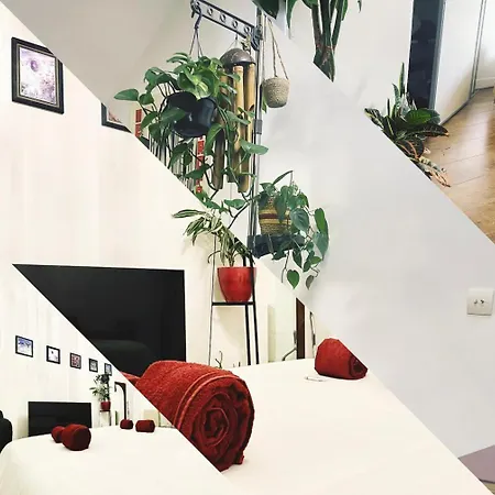 La Stanza Della Giungla Homestay szállás *