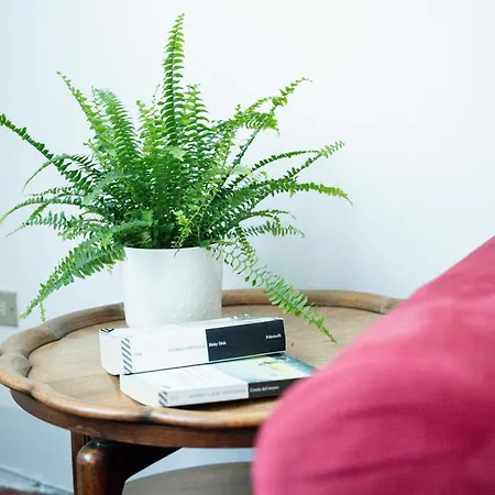 La Corte Di Emily Ap. 1 *