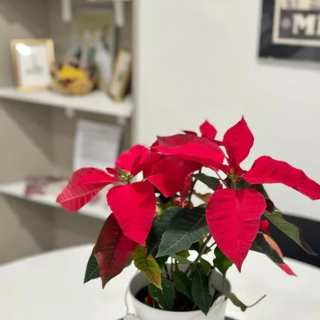 Glamour Liberty Sabotino38 Apartment *