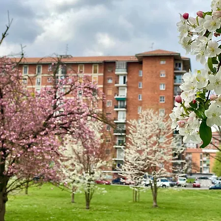 아파트 Cosy And Lovely Flat With View On Nature *