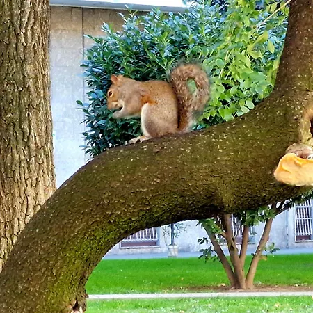 Giardino Sul Naviglio * Милан