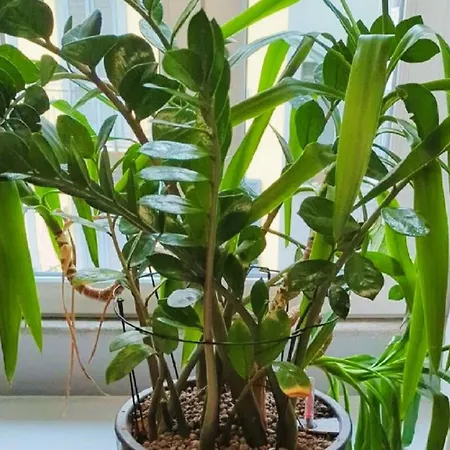 Elegant In Center Lejlighed