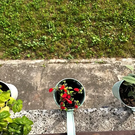 White Flat Puglie شقة *