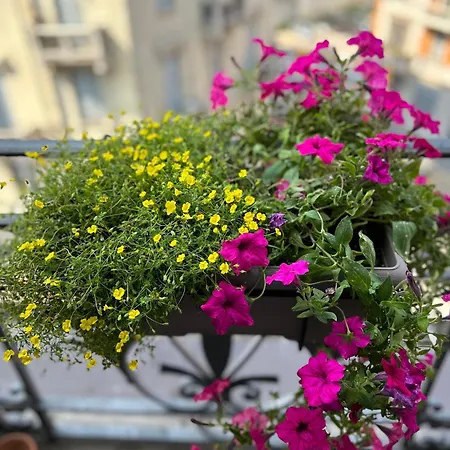 Easy Isola, For An Easy Appartement Milaan