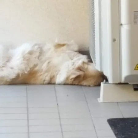 게스트하우스 Expo 밀라노