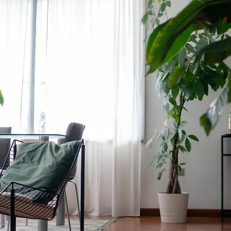 Urban Jungle - Attico Vista Duomo Milano