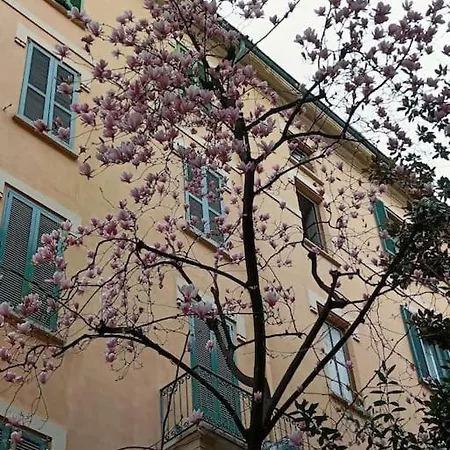 Daire Da Rosa E Pier - Charming *