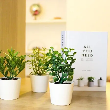 Lejlighed Sempione *