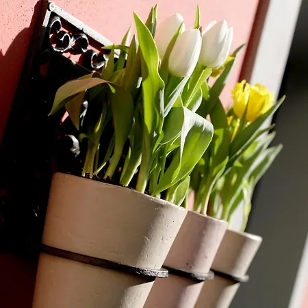 Bed & Breakfast Trovailtempo Milano